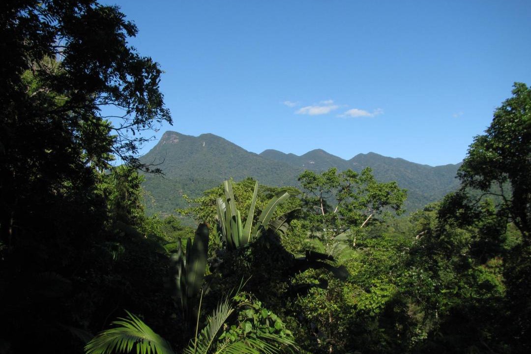 Photo of Others in Mossman