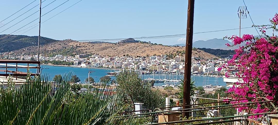 Photo of Others in Salamis