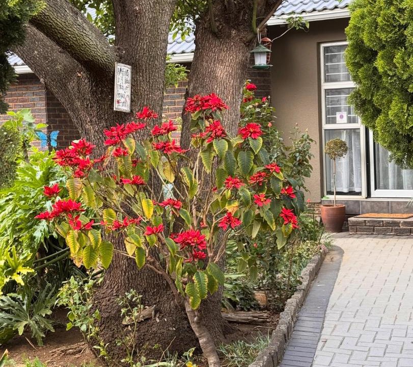 Photo of Others in Edenvale