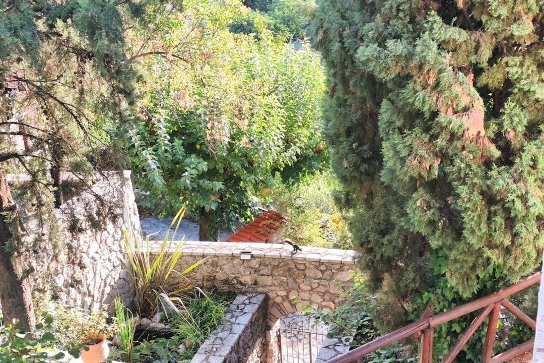 Photo of Others in Lilaia