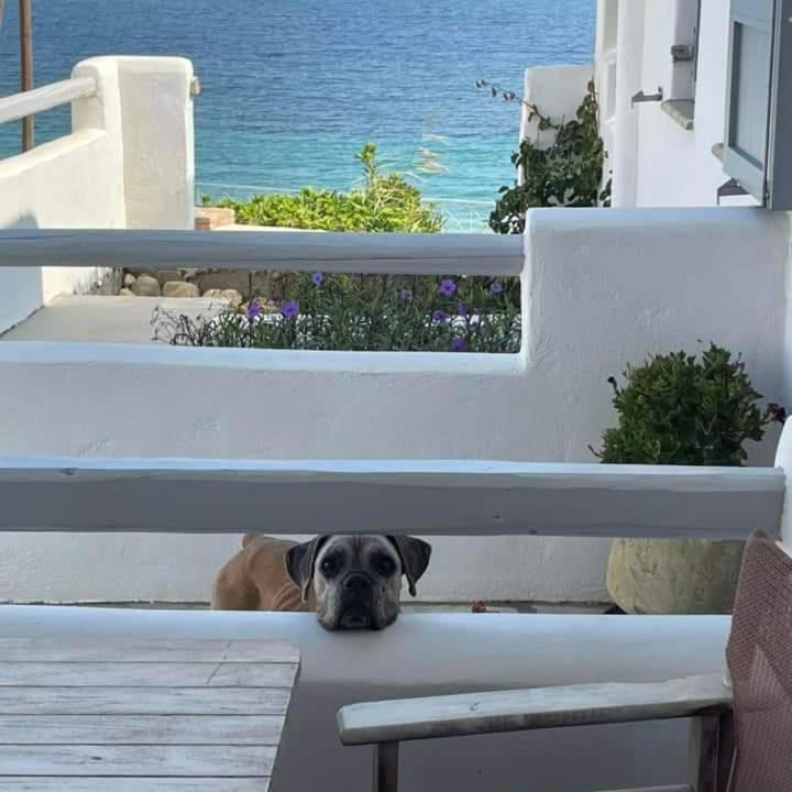 Photo of Patio Balcony in Skiros