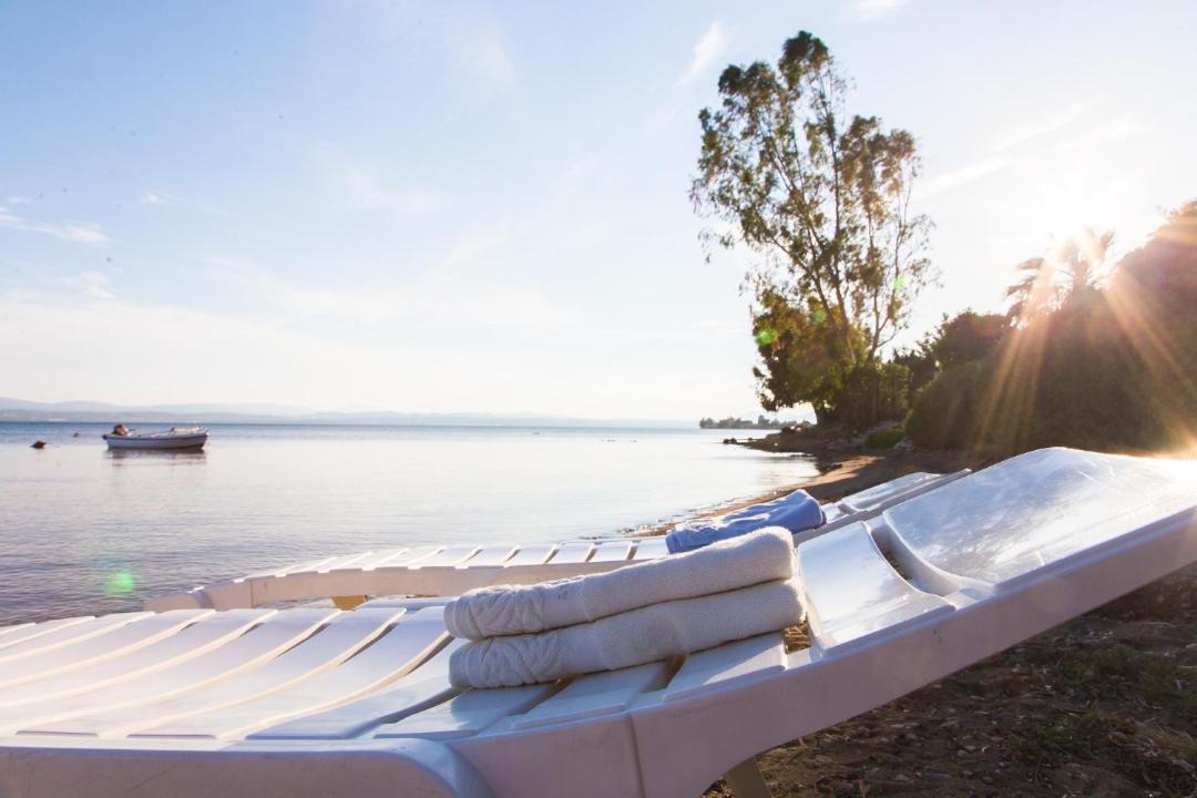Photo of Others in Eretria