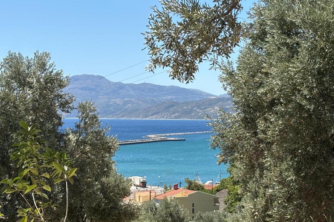 Photo of Others in Sipiada