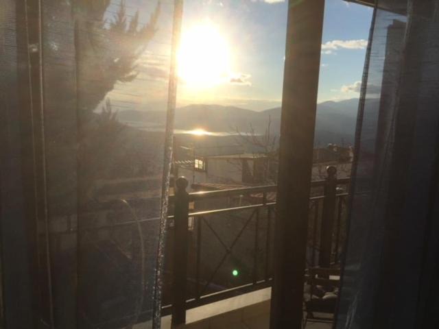 Photo of Patio Balcony in Delfoi