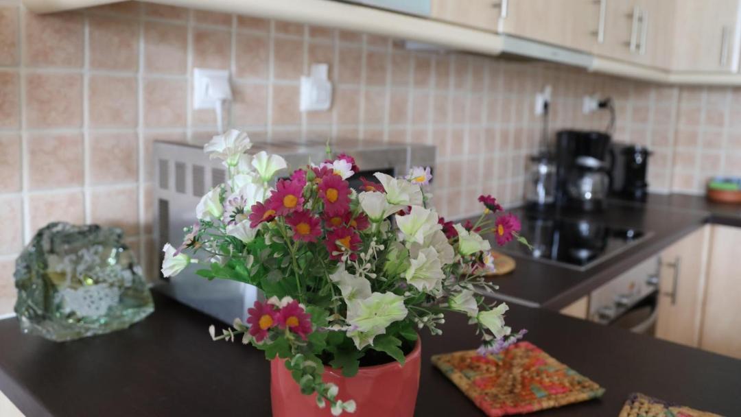 Photo of Kitchen in Nea Artaki