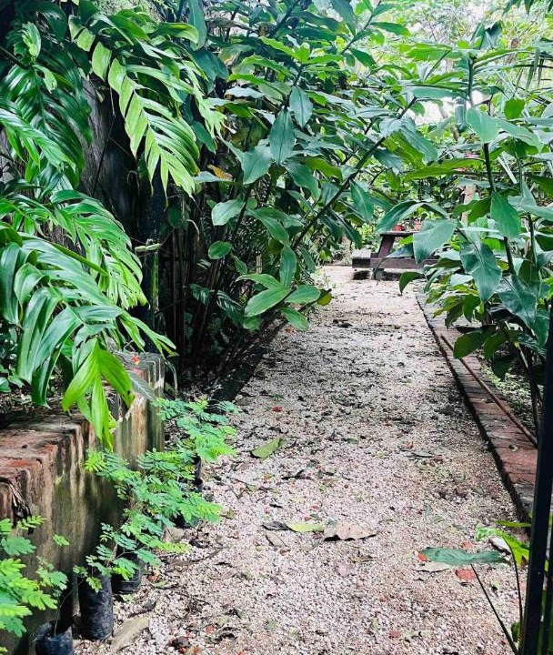Photo of Outdoor in Carmen