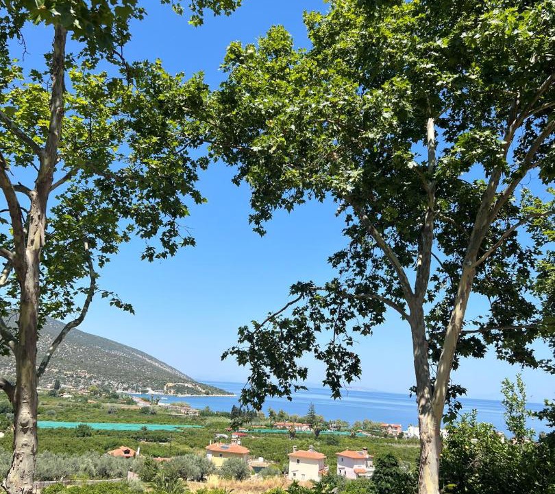 Photo of Others in Melissopetra