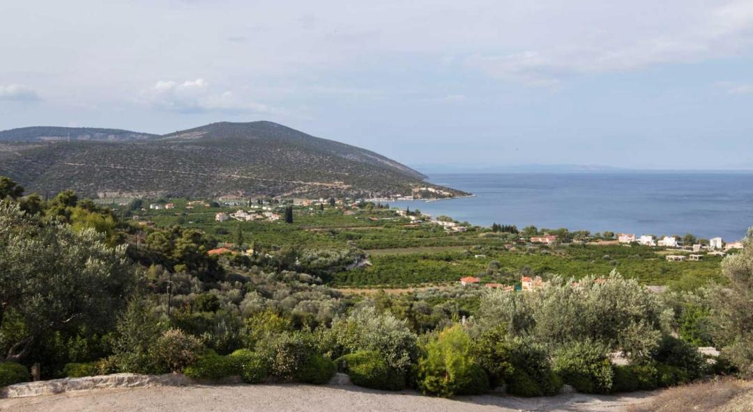 Photo of Others in Melissopetra