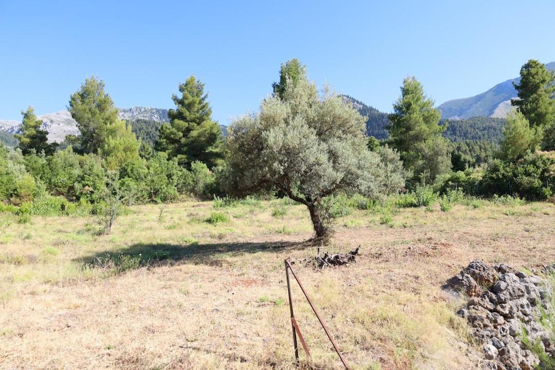 Photo of Outdoor in Vlakhia