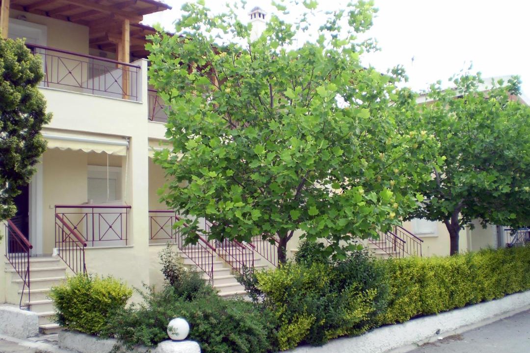 Photo of Others in Siviri