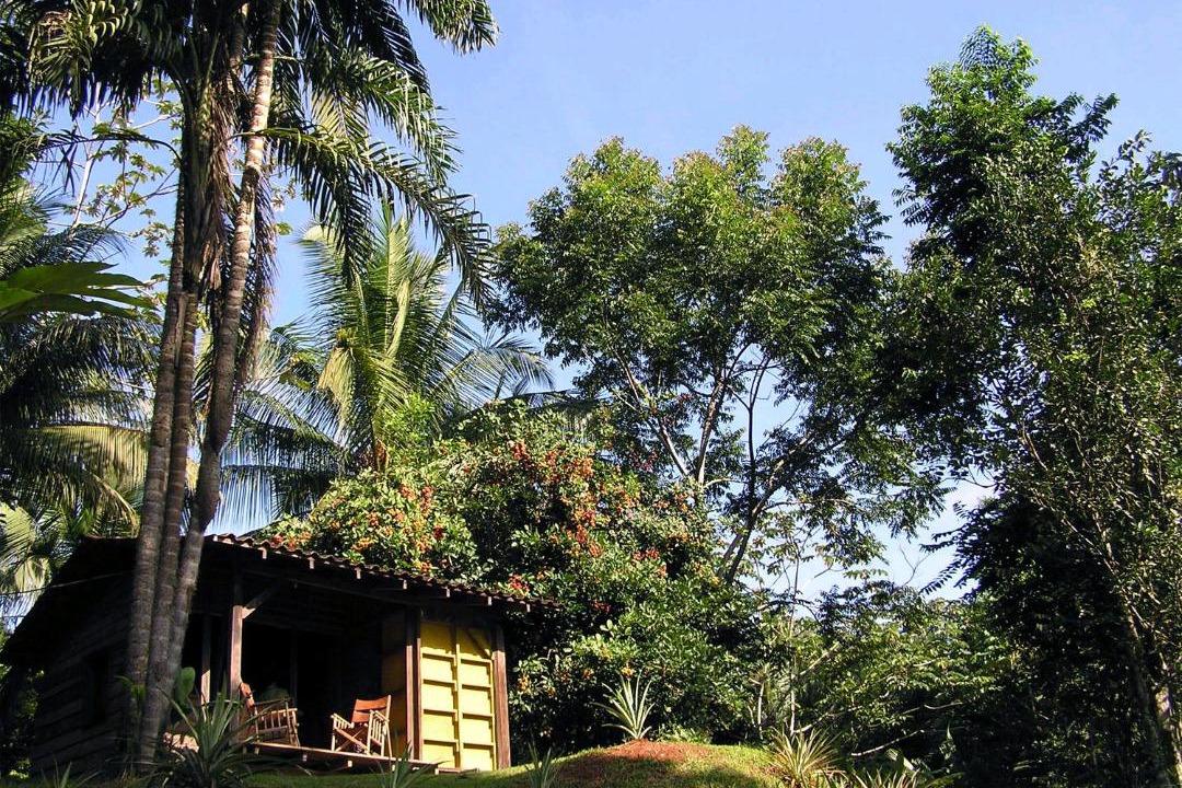 Photo of Others in Rincon