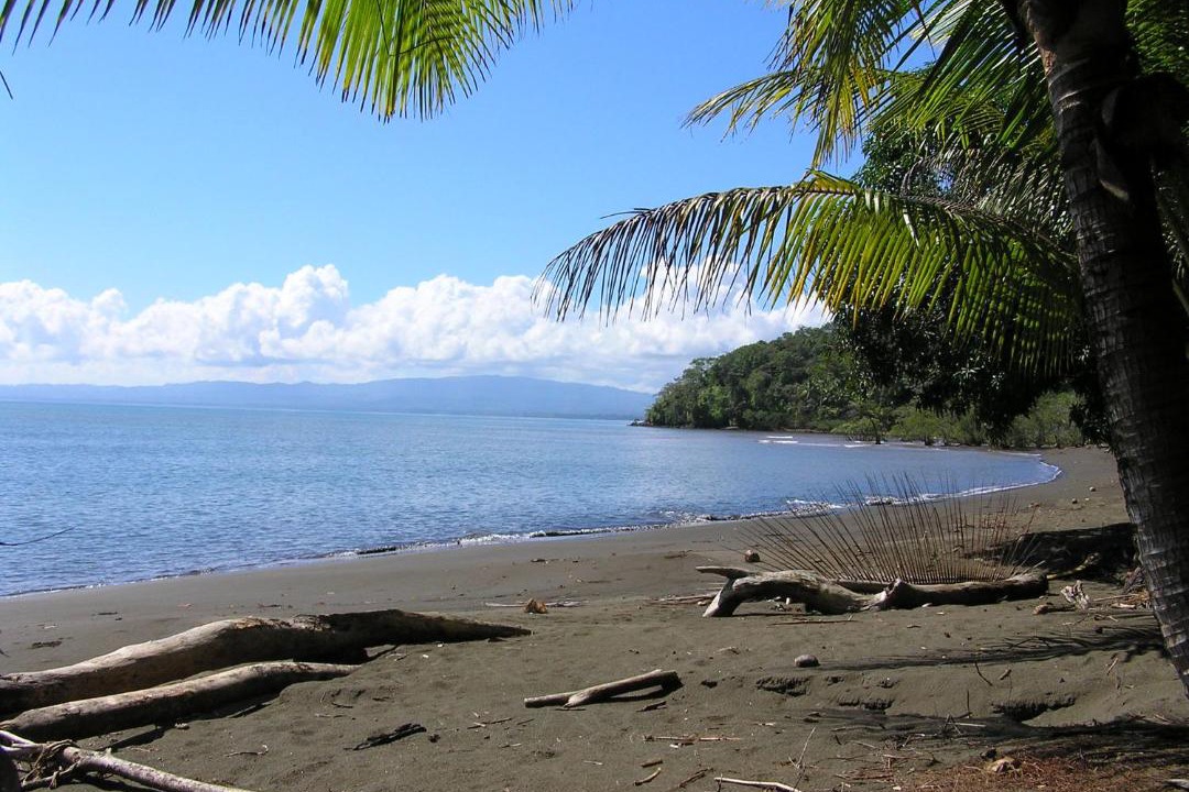 Photo of Outdoor in Rincon