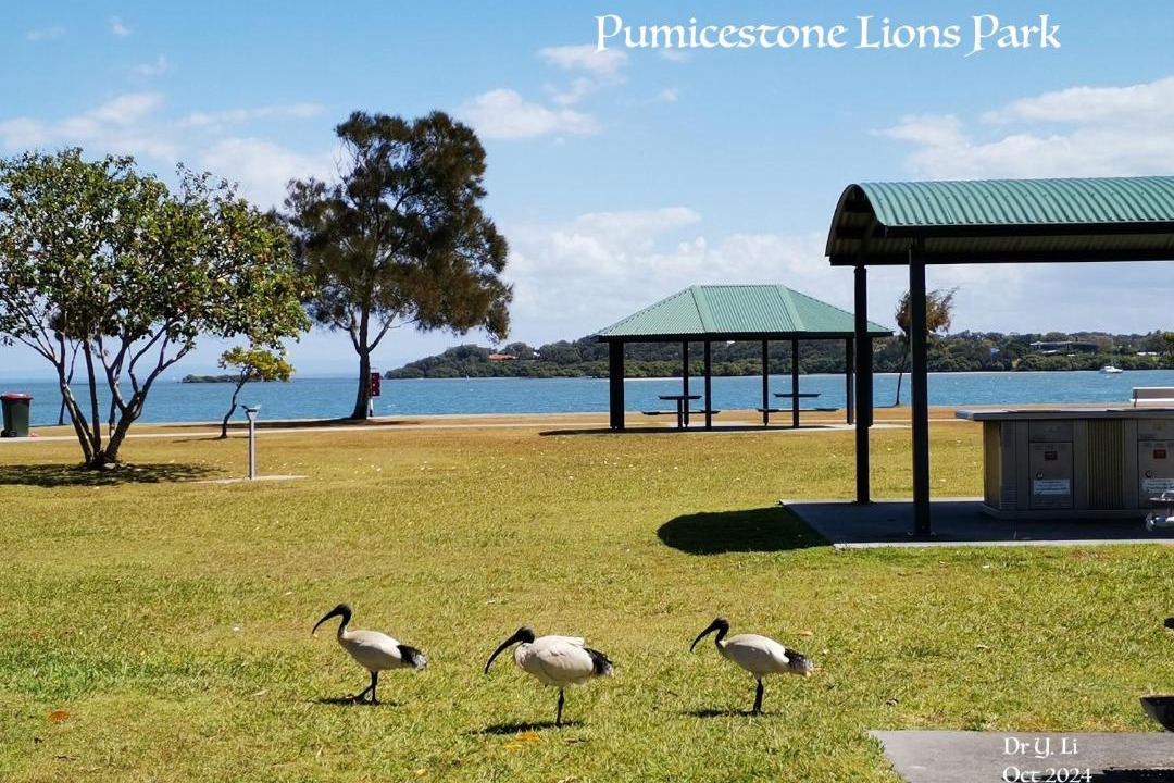 Photo of Others in Banksia Beach