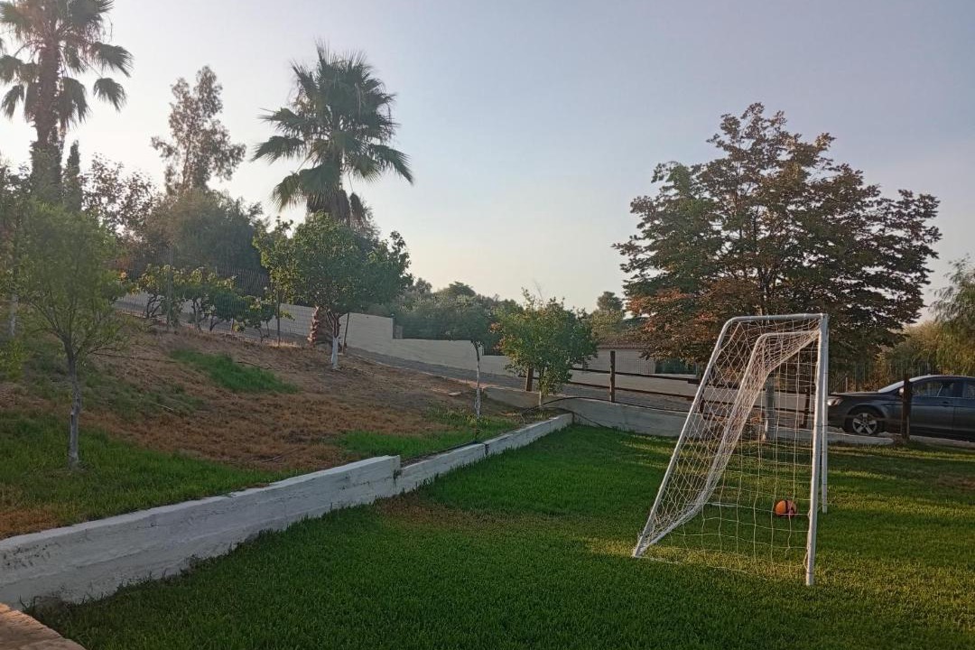 Photo of Others in Amarinthos