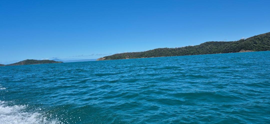 Photo of Others in Cow Bay