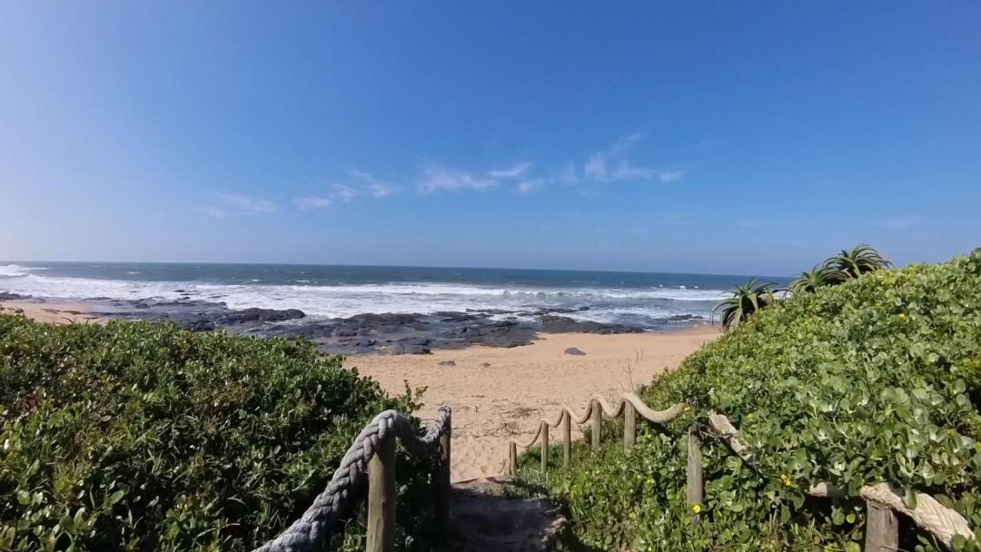 Photo of Others in Shelly Beach