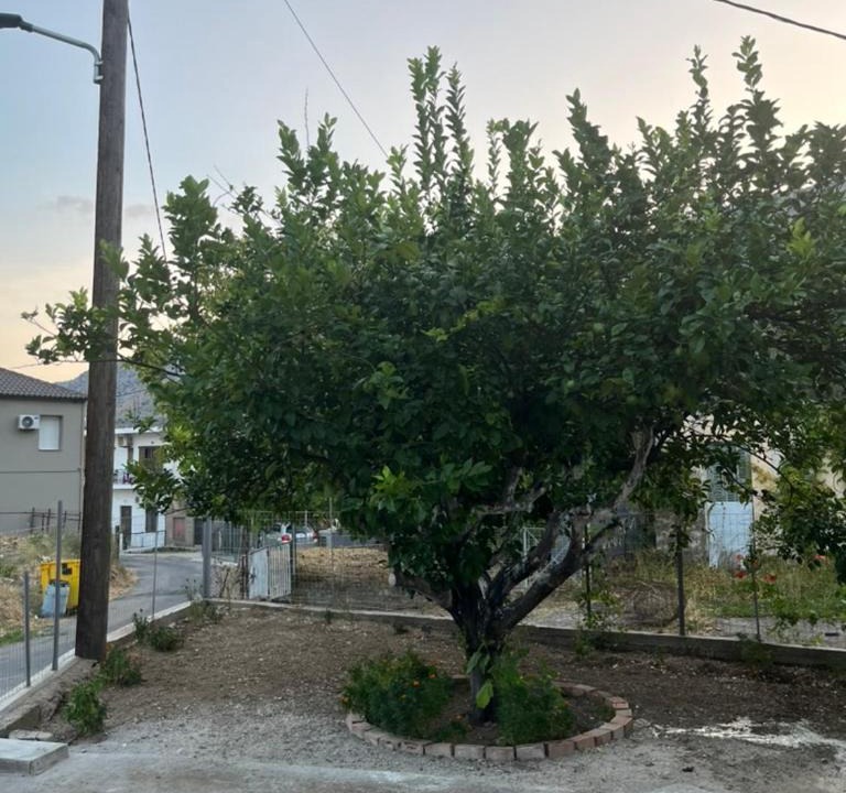 Photo of Outdoor in Monastiraki