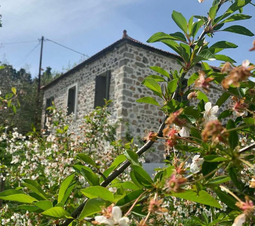 Photo of Others in Mantoudi-Limni-Agia Anna