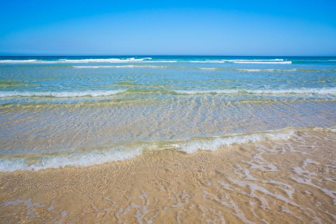 Photo of Others in Castaways Beach