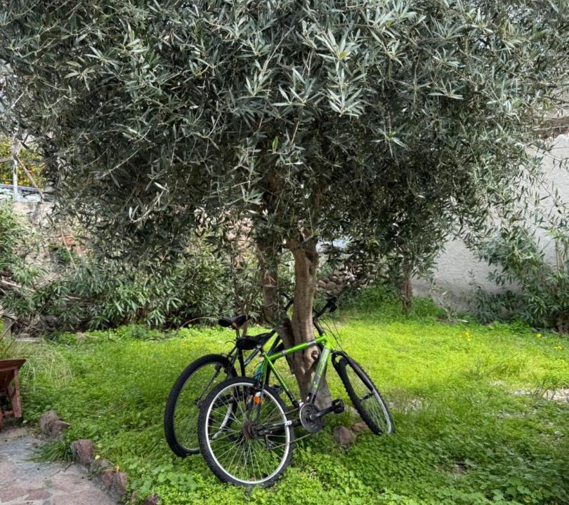 Photo of Others in Spileo