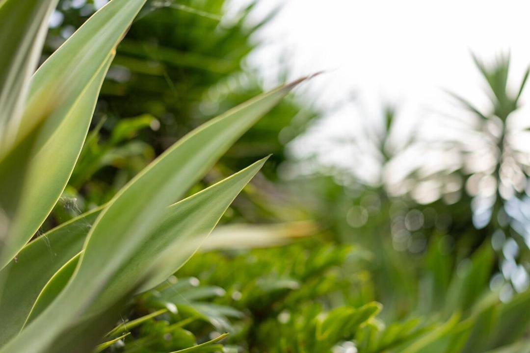 Photo of Outdoor in Coomera