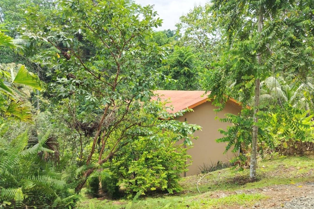 Photo of Others in Puerto Jimenez