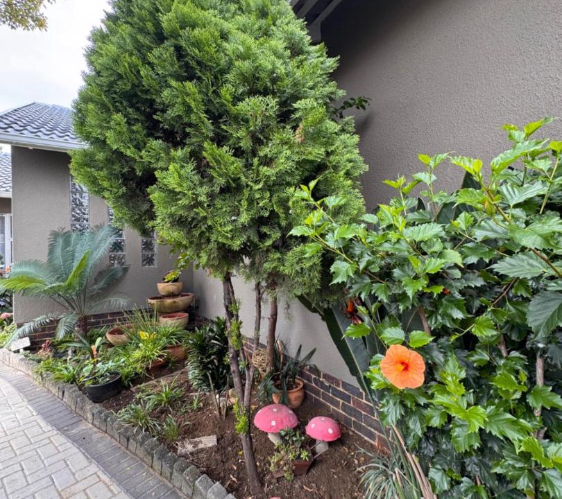 Photo of Others in Edenvale