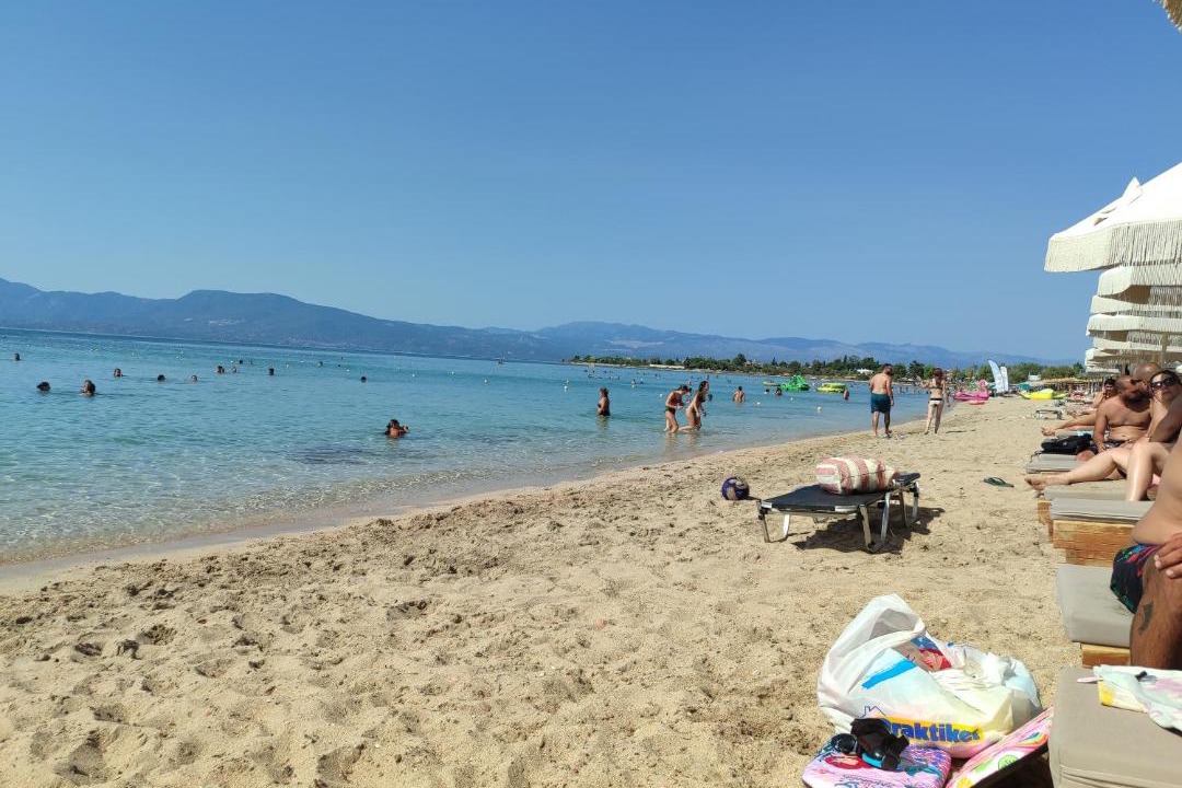 Photo of Others in Chalcis