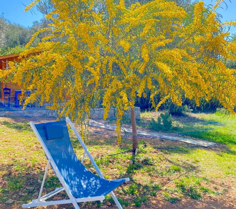 Photo of Outdoor in Kandia