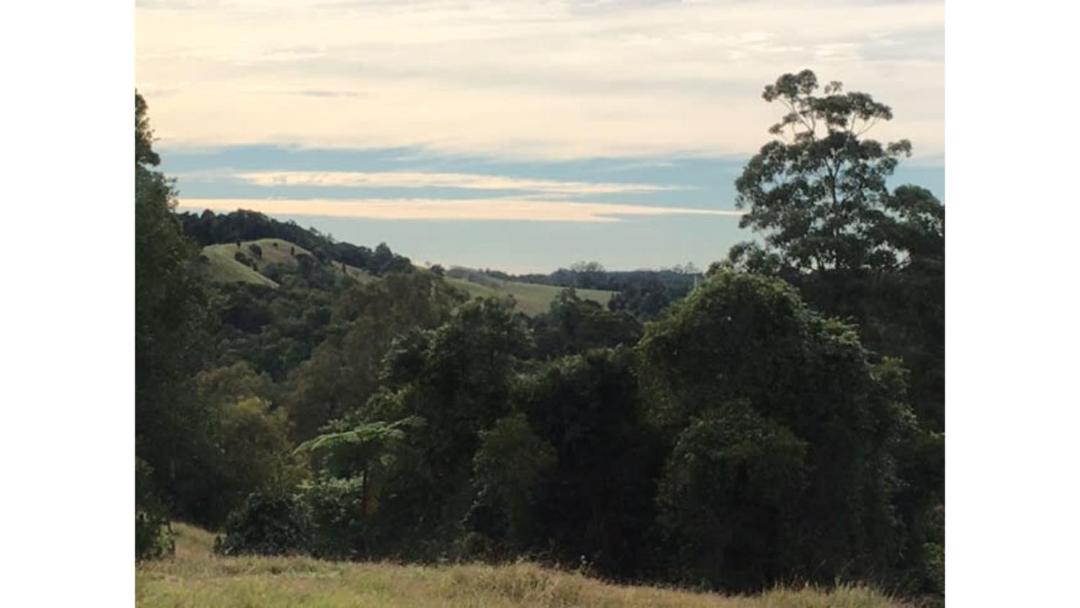 Photo of Others in Maleny