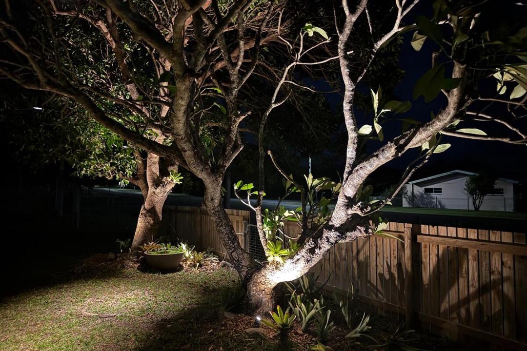 Photo of Others in Cooktown