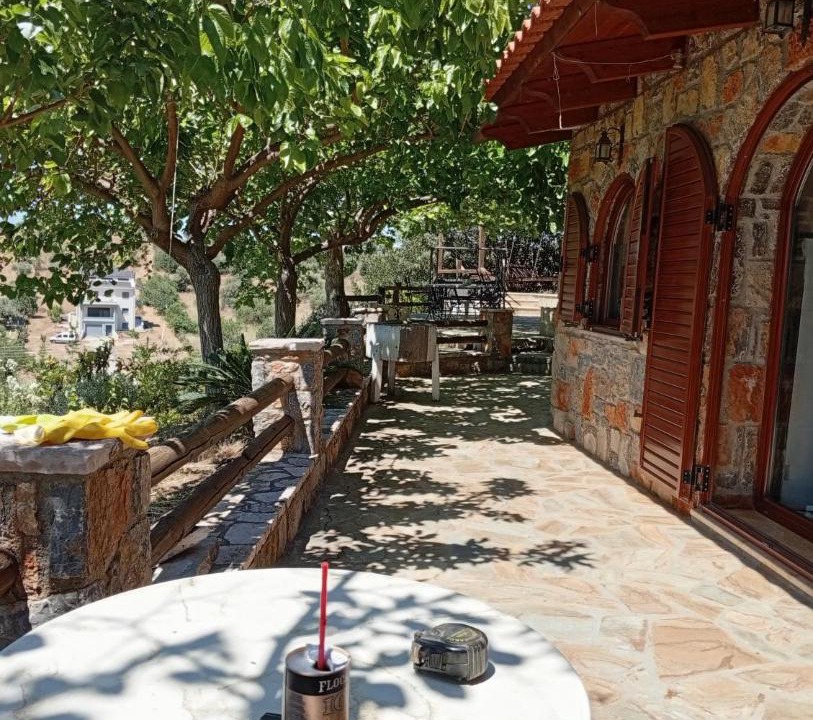 Photo of Others in Amarinthos