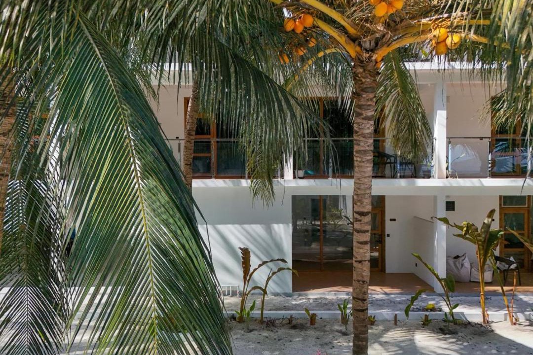 Photo of Others in Thoddoo