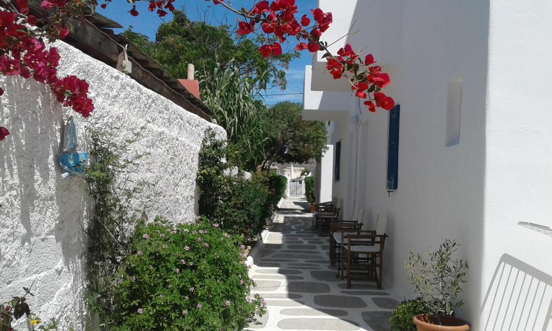Photo of Others in Mykonos