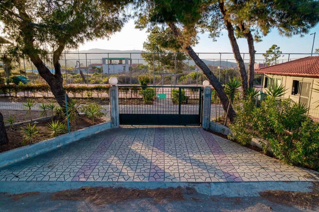 Photo of Others in Agia Anna Beach