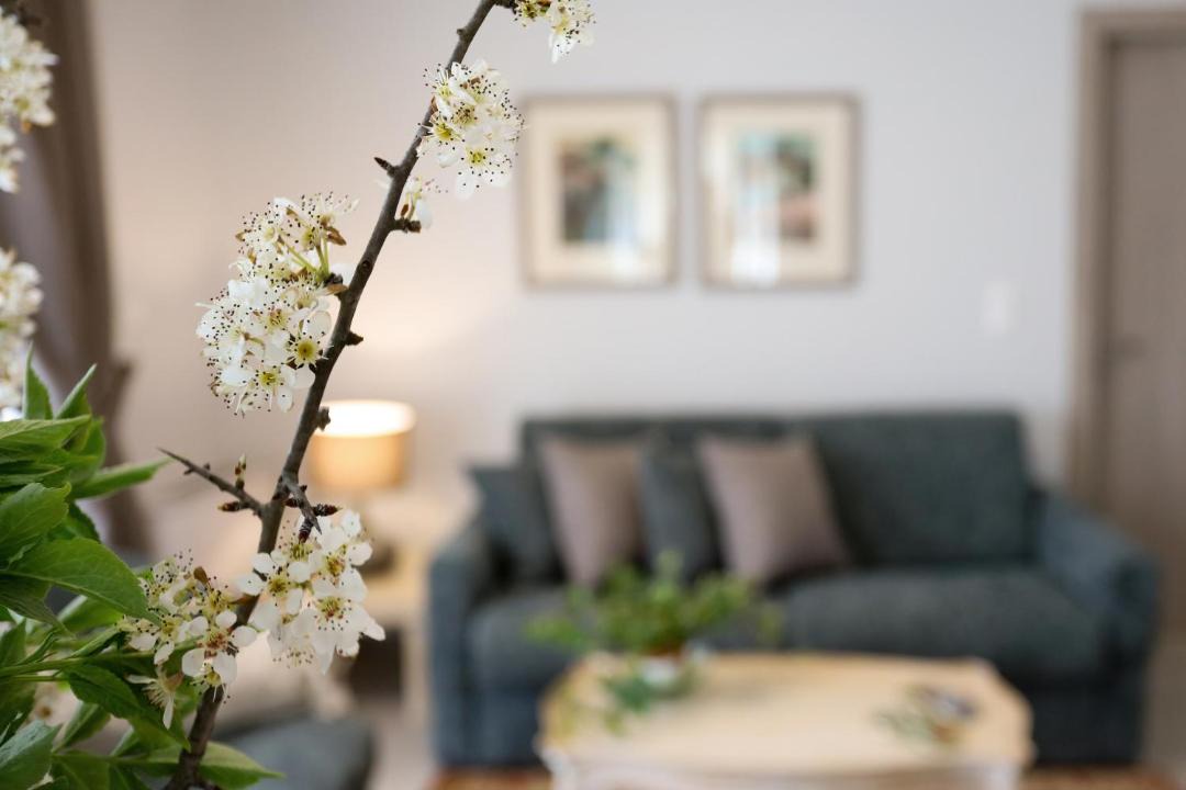 Photo of Livingroom in Kalavrita