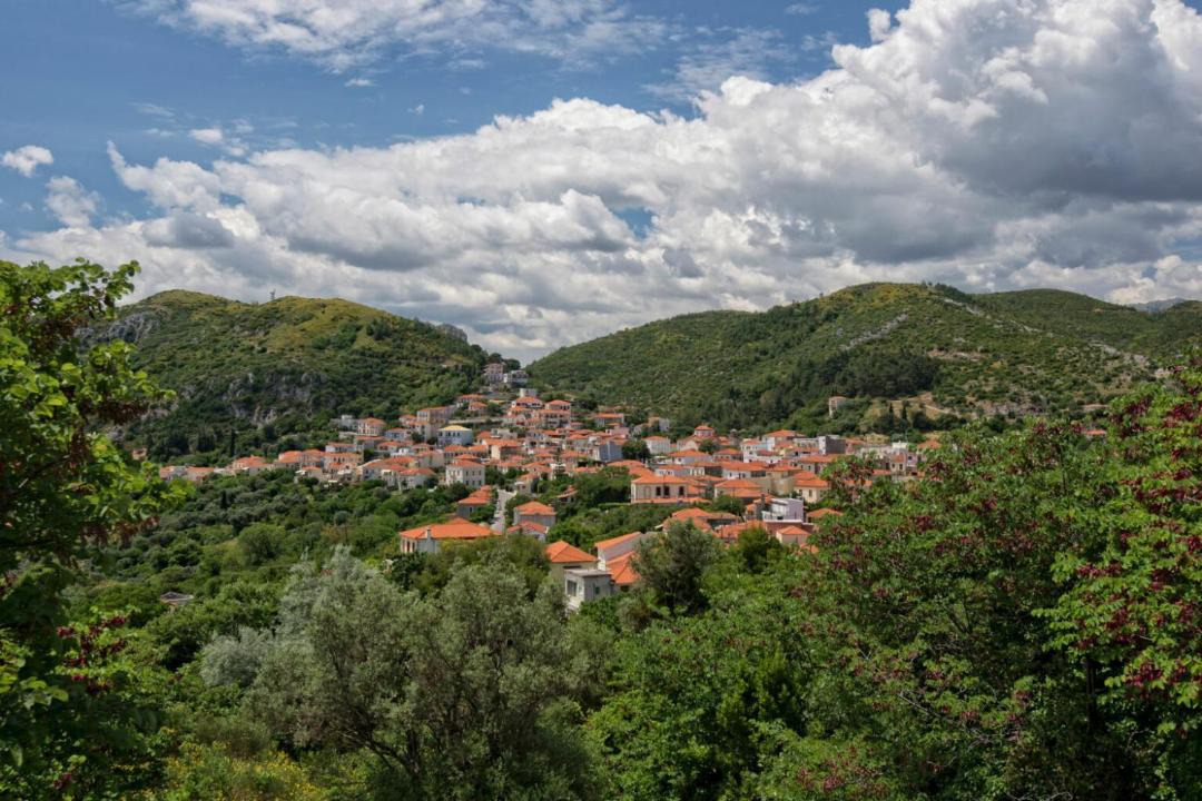 Photo of Buildings in Sipiada