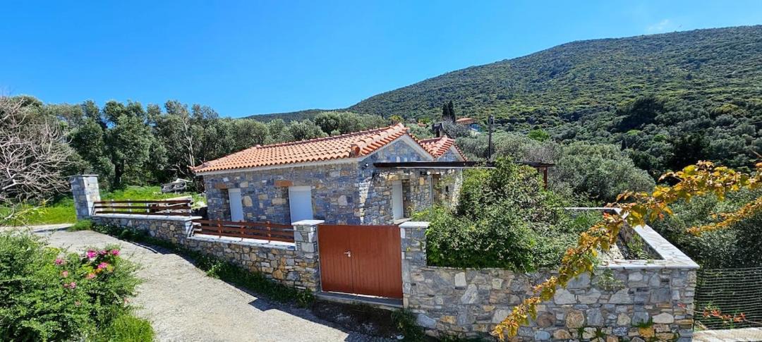 Photo of Others in Samos Town