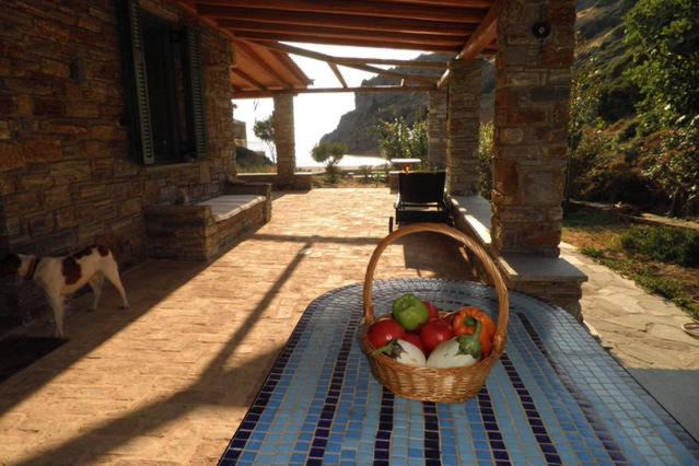 Photo of Patio Balcony in Steni Dirfyos