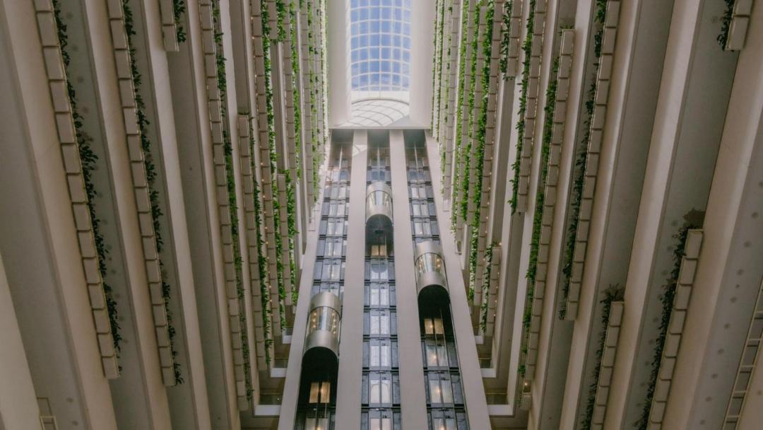 Photo of Others in Brisbane Central Business District