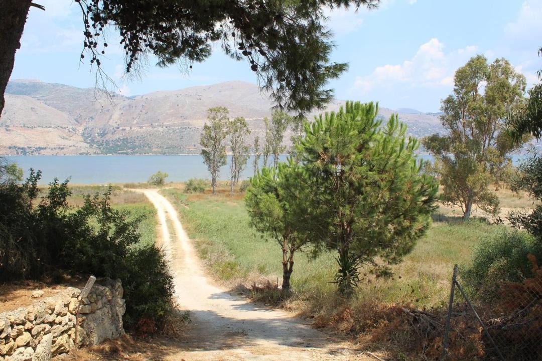 Photo of Others in Paliki