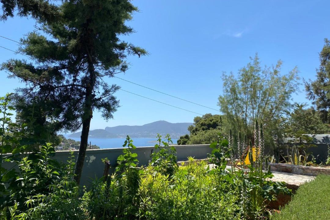 Photo of Others in Porto Rafti