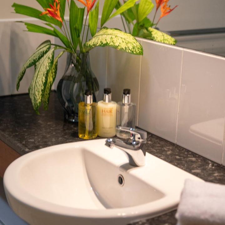 Photo of Bathroom in Diwan