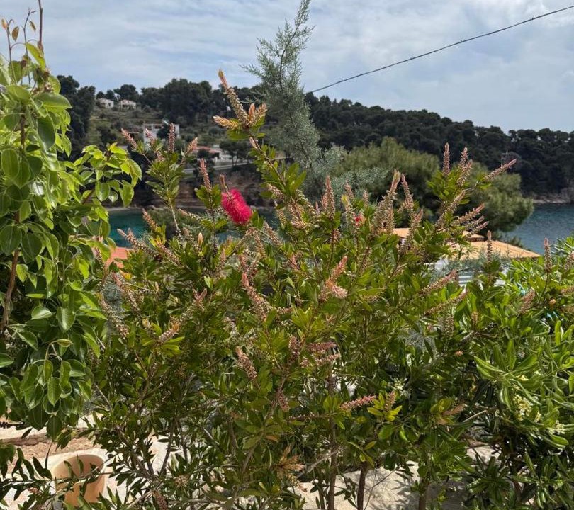 Photo of Outdoor in Votsi