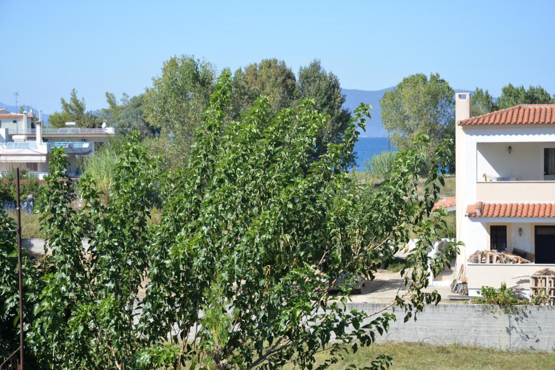 Photo of Others in Istiaia-Aidipsos
