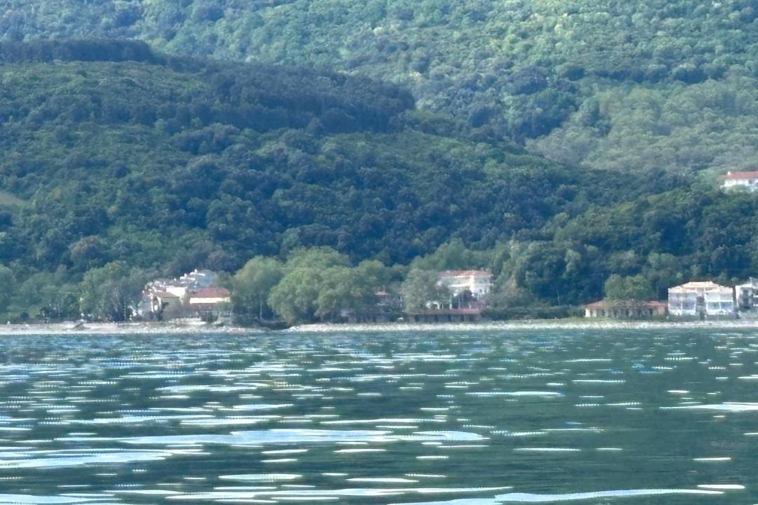Photo of Others in Agia