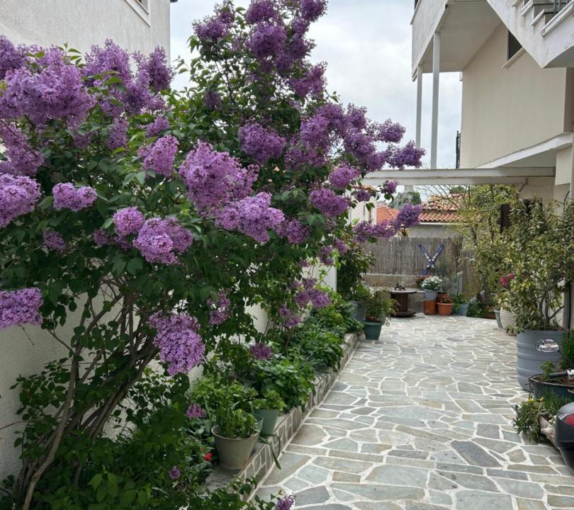 Photo of Others in Arachova