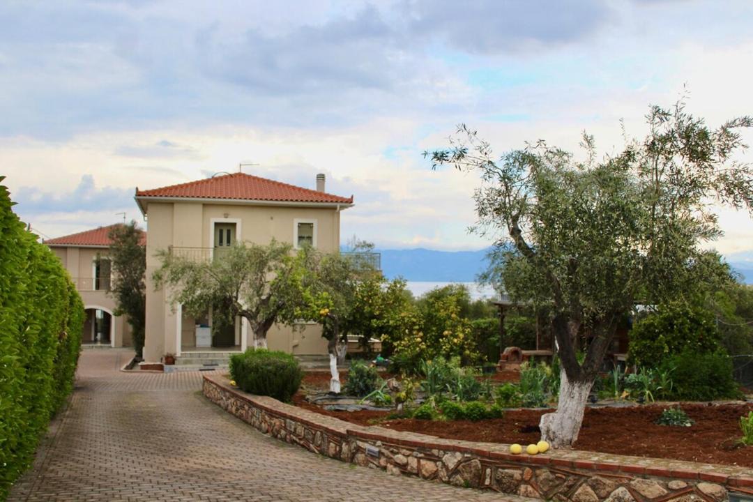 Photo of Others in Chalcis