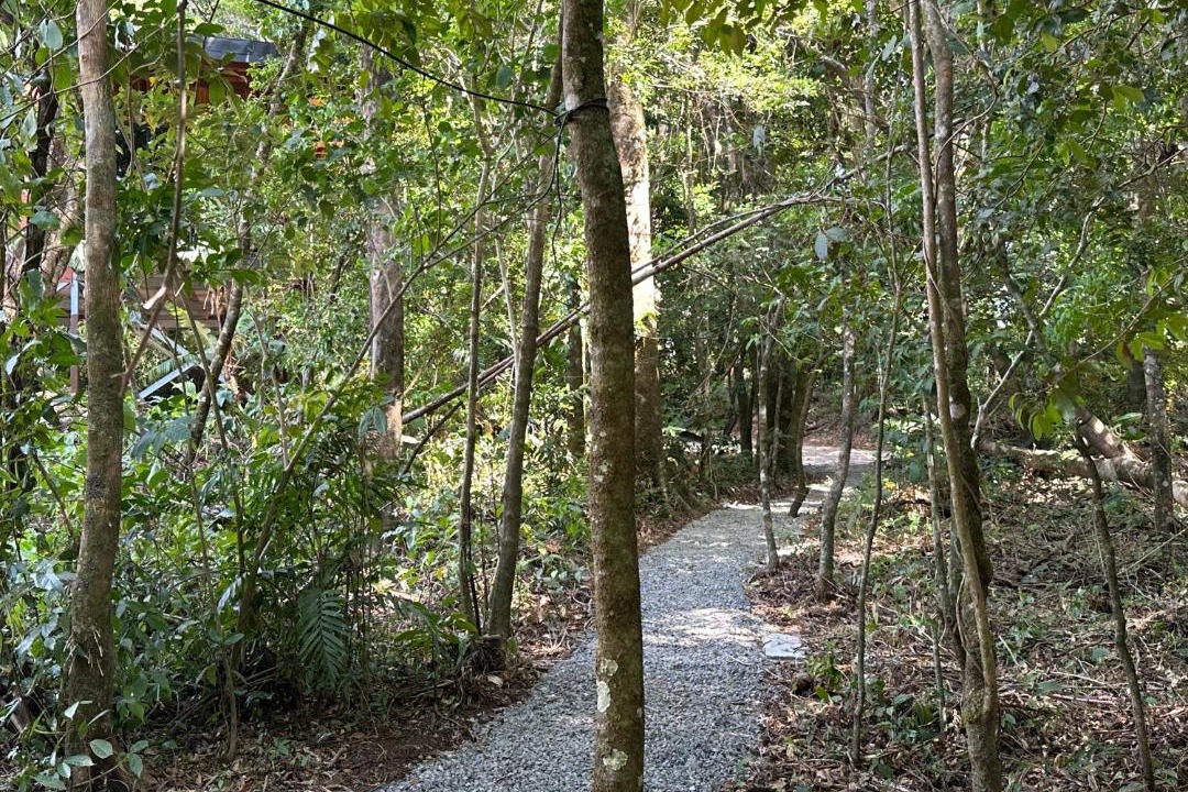 Photo of Outdoor in Santa Elena