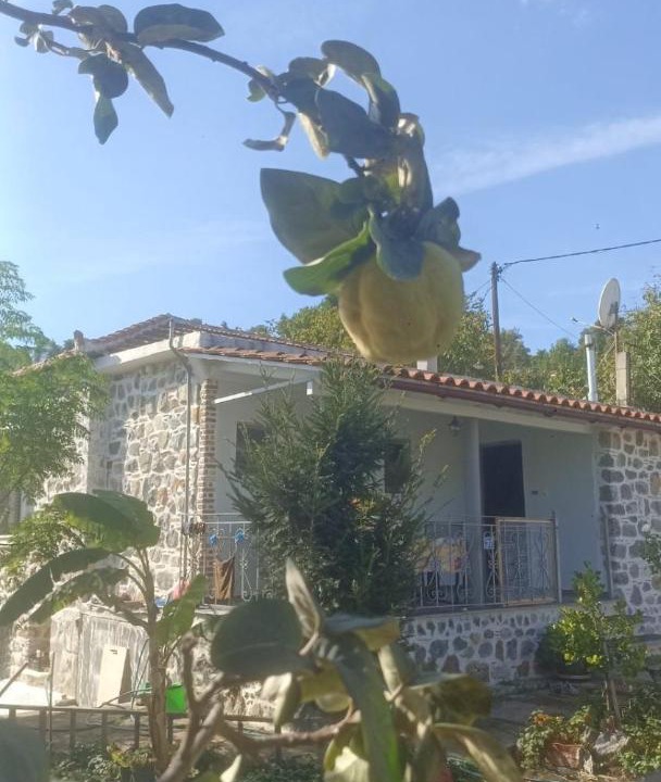 Photo of Others in Mantoudi-Limni-Agia Anna
